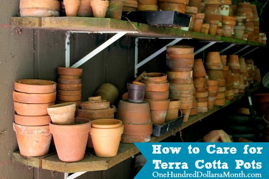 How to Care for Terra Cotta Pots