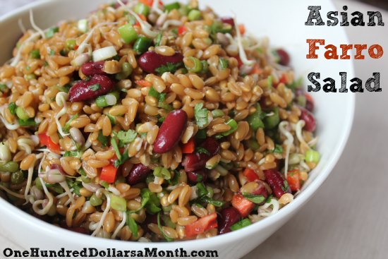 Vegan Friendly Recipes – Asian Farro Salad