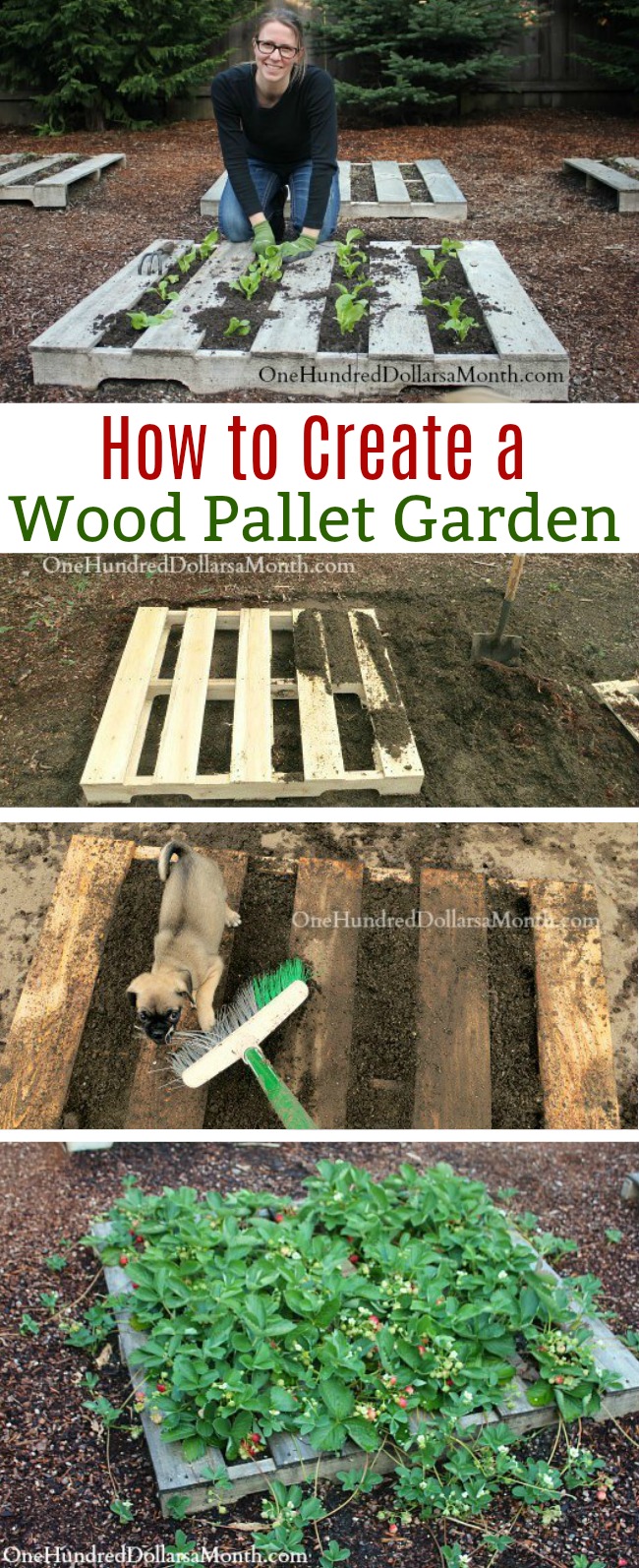 Pallet Gardening – How to Create a Wood Pallet Garden