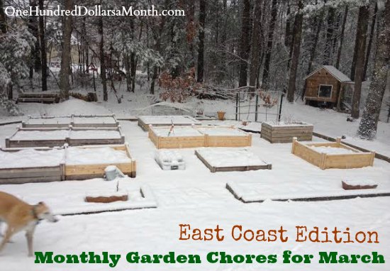 Monthly Garden Chores for March – East Coast Edition