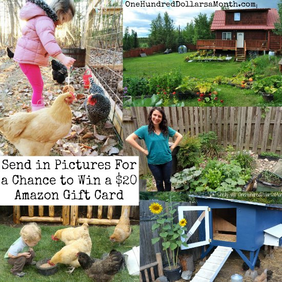 Mavis Mail – Send Pictures of Your Garden For a Chance to Win a $20 Amazon Gift Card