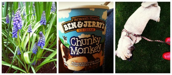 One Hundred Dollars a Month – Mavis’ Weekly Highlights 3/29/14