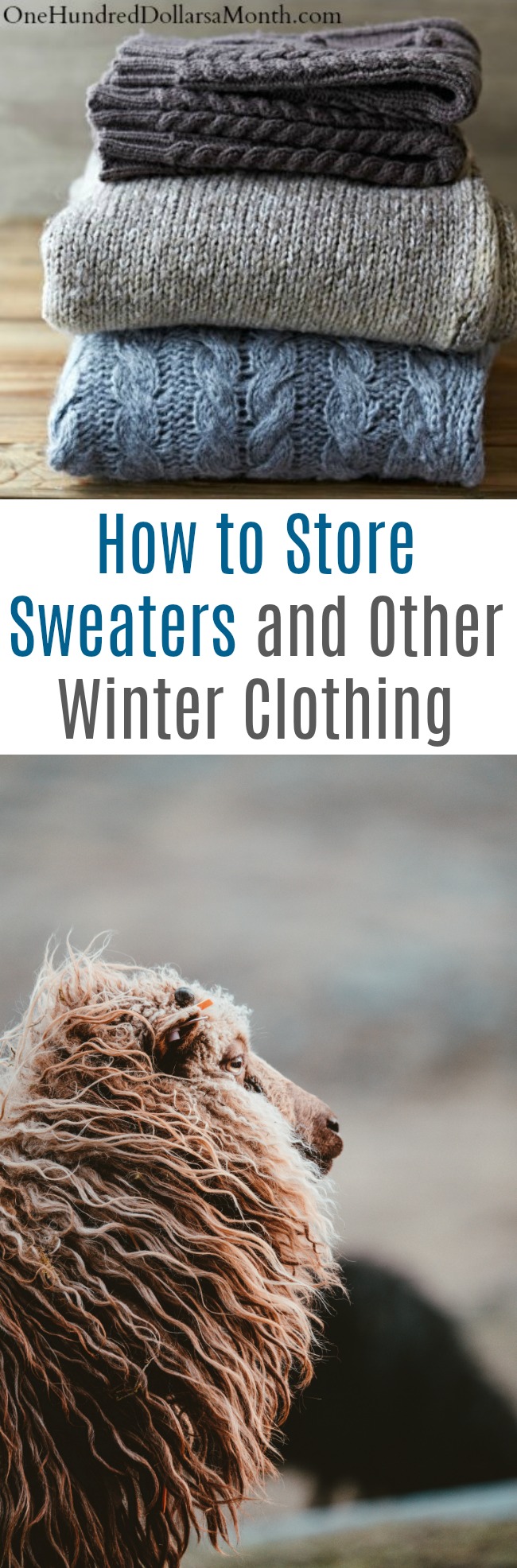 How to Store Sweaters and Other Winter Clothing