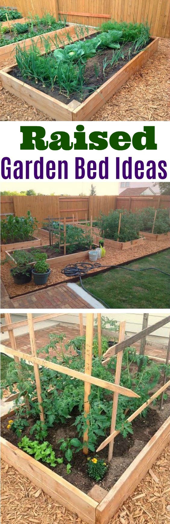 Beautiful Raised Garden Bed Pictures from Austin, Texas