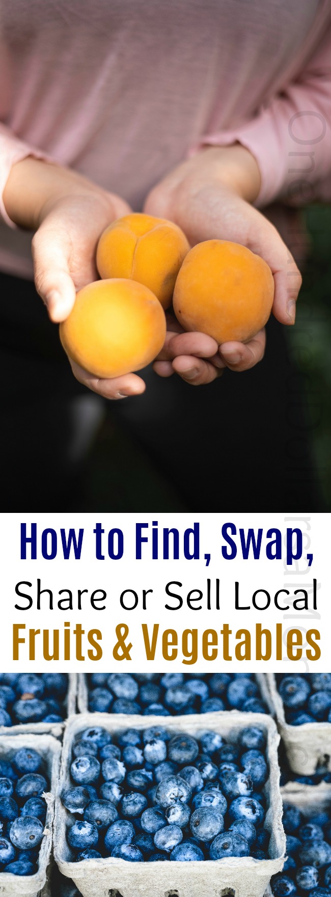 How to Find, Swap, Share or Sell Local Fruits and Vegetables
