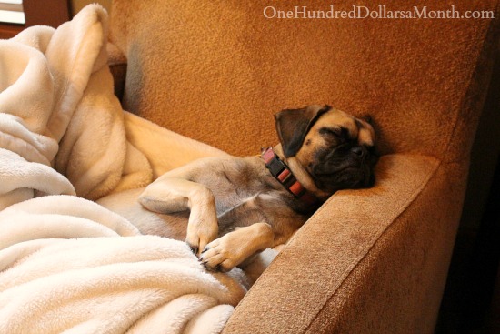 Remember the Time I Let You Run on the Freeway?