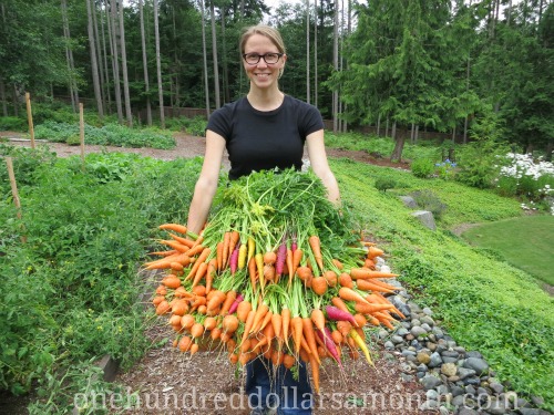 Ample Harvest – What to Do With Your Excess Garden Harvests