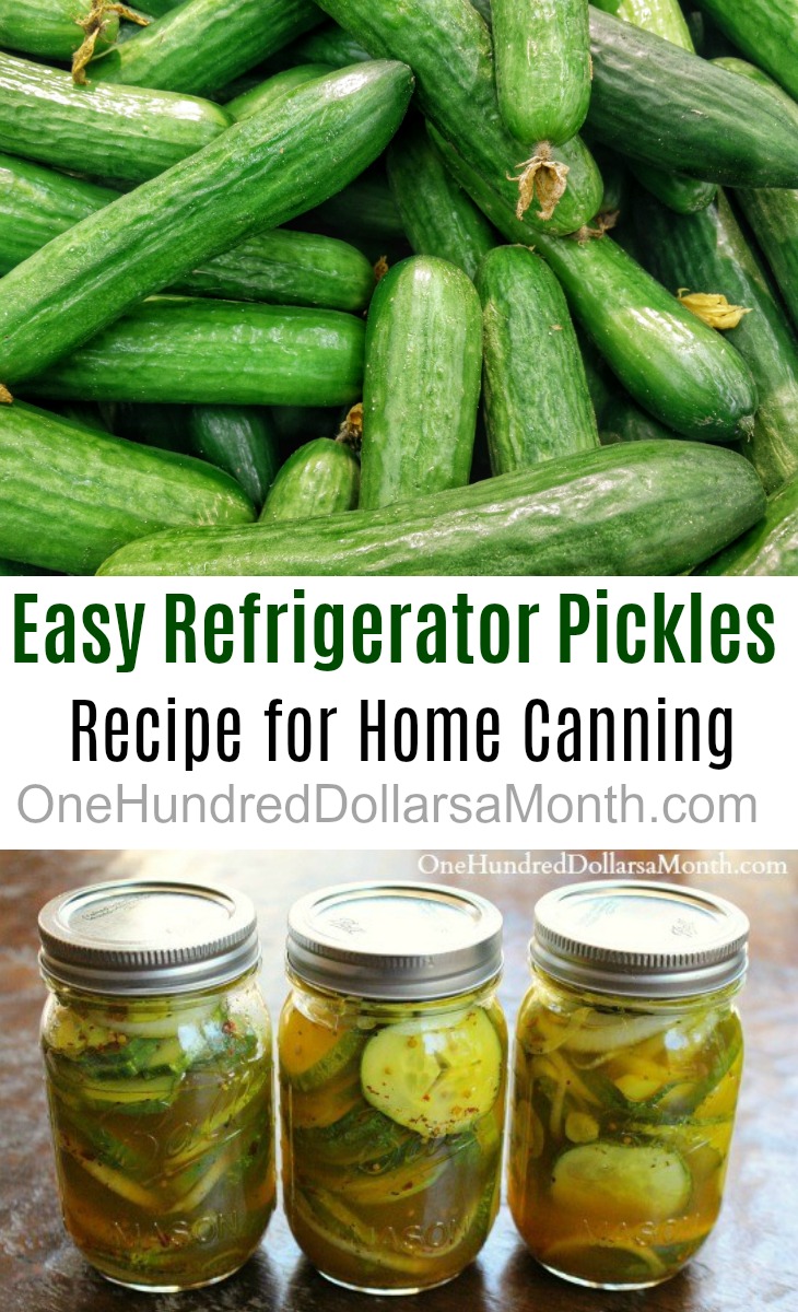 Easy Refrigerator Pickle Recipe