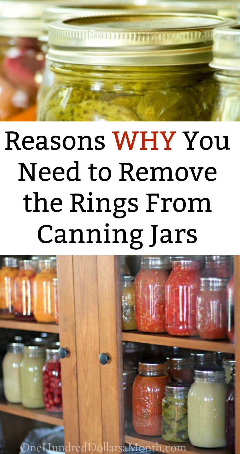 Should I Remove the Rings From My Canning Jars? One Hundred Dollars a