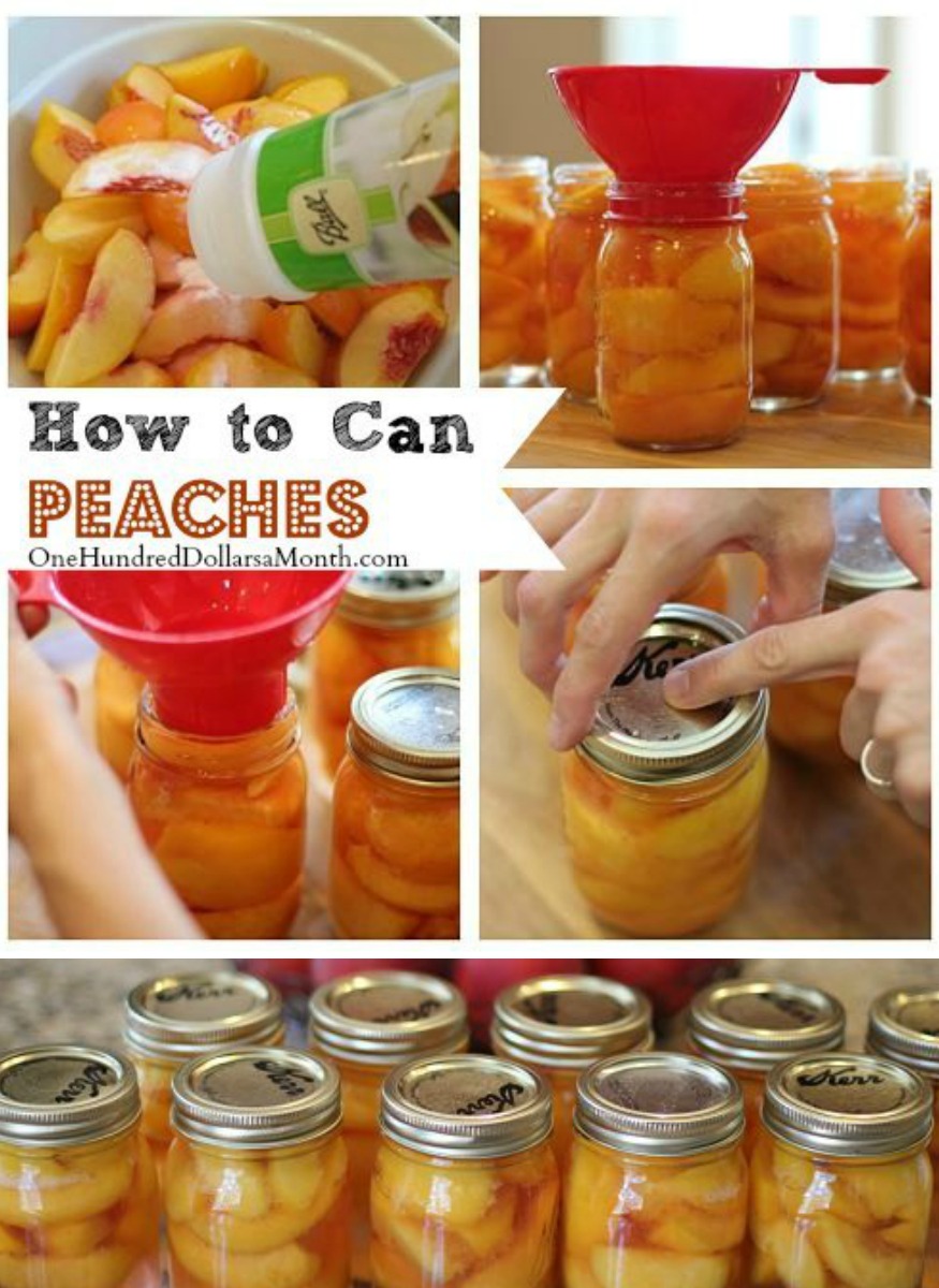 Canning 101 – How to Can Peaches