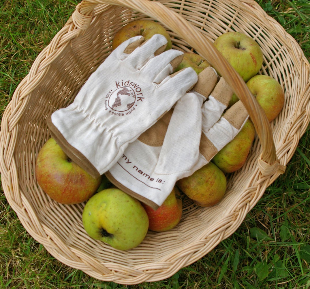 Gear Up for Fall Giveaway – $100+ in WomansWork Garden Gear