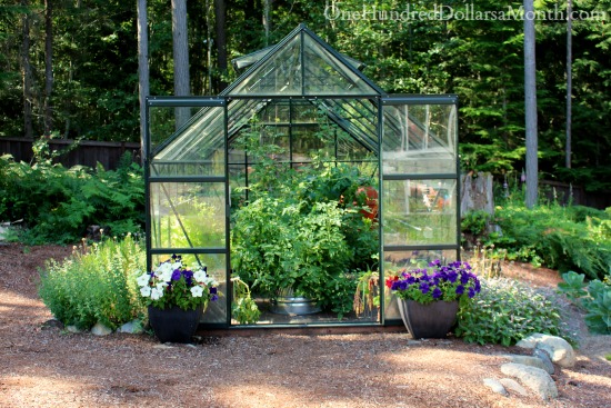 Growing Vegetables in the Greenhouse