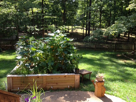 A Small Garden from Virginia Packs a Lot of Vegetables into a 6×8 Foot Raised Bed