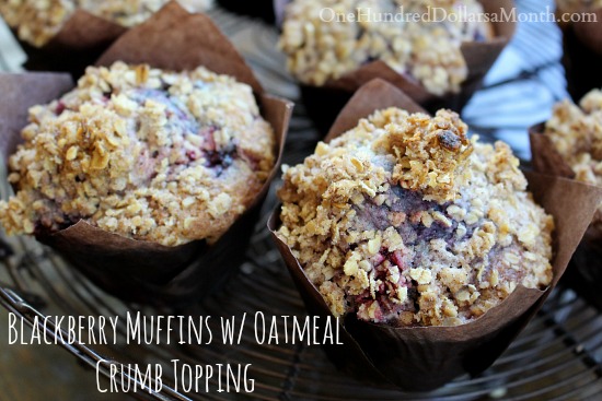 Blackberry Muffins with Oatmeal Crumb Topping