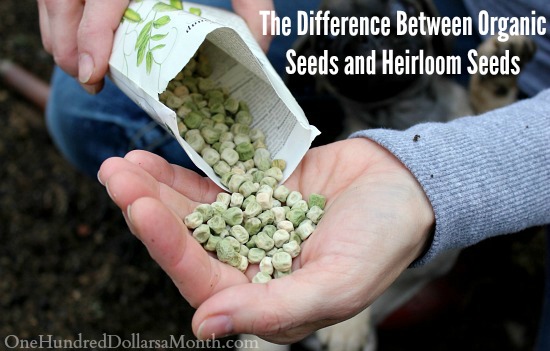 The Difference Between Organic Seeds and Heirloom Seeds
