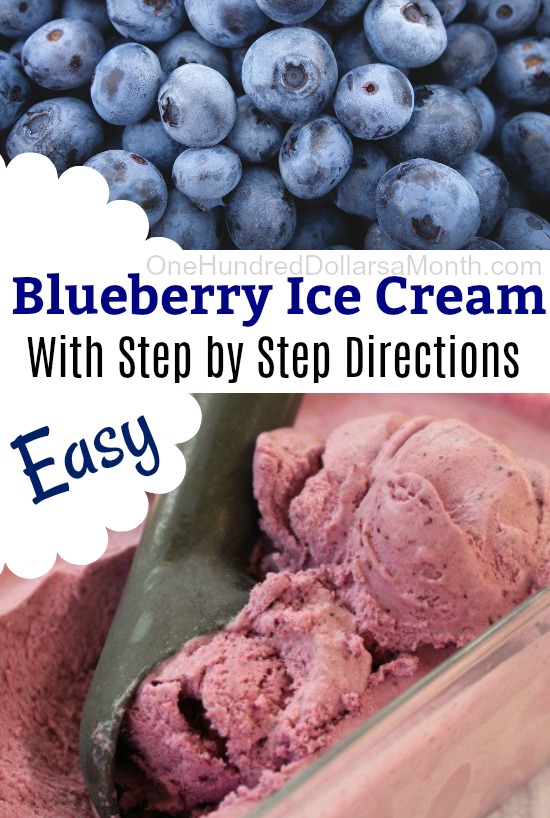 Blueberry Ice Cream Recipe