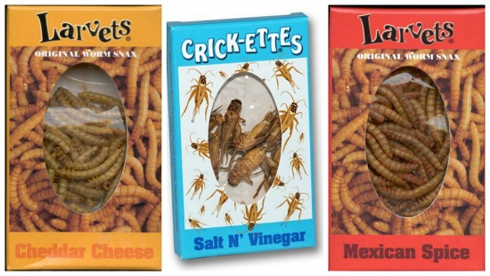 Would You Eat Bugs…by Choice?