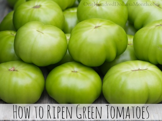 How to Ripen Green Tomatoes