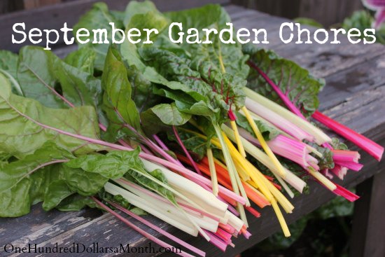 Monthly Garden Chores for September