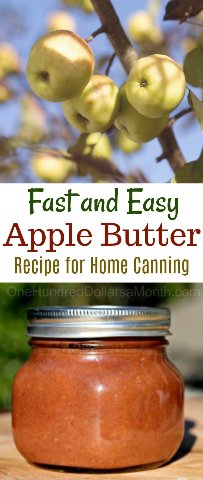 Canning 101 – Crock Pot Apple Butter Recipe