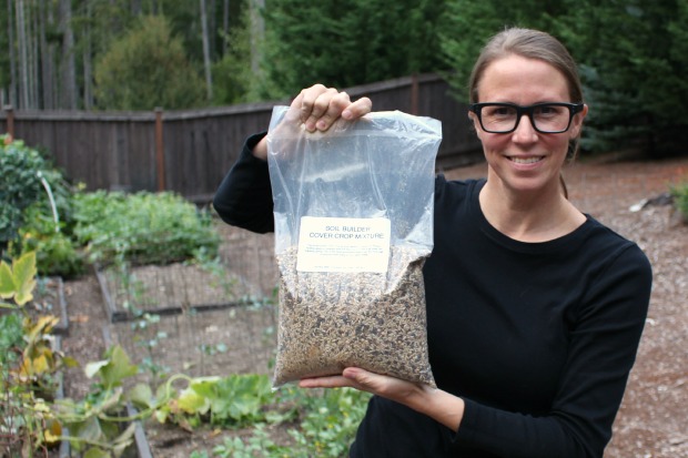 Plant Cover Crops: Improve Your Soil