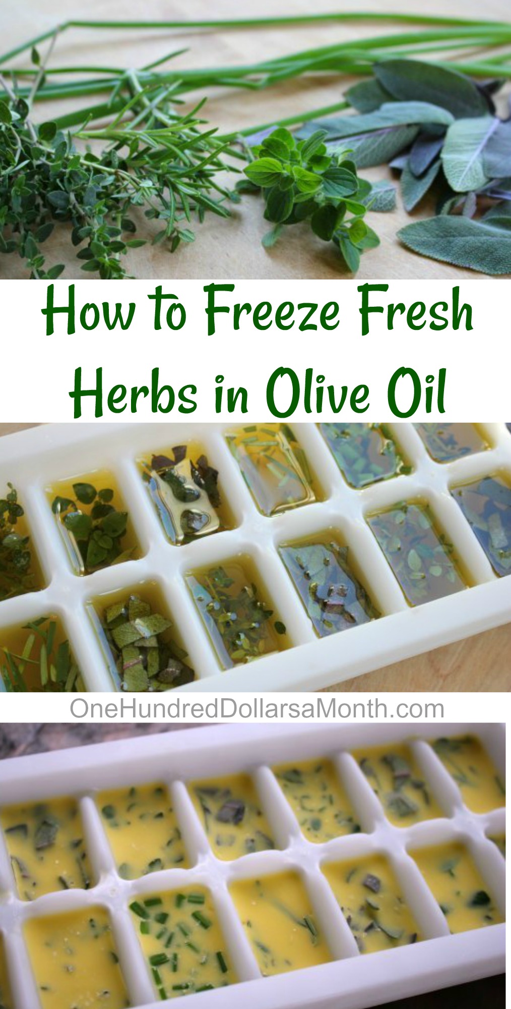 Freeze Fresh Herbs in Olive Oil