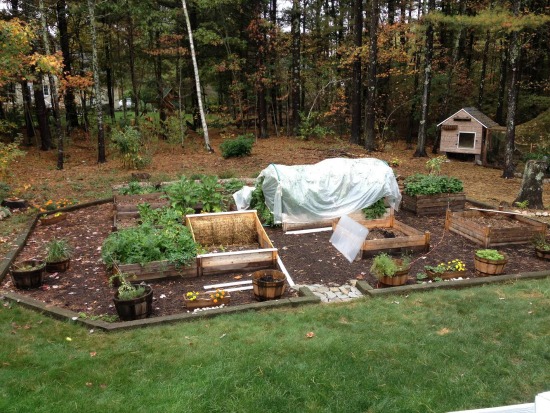 Monthly Garden Chores for October- East Coast Edition