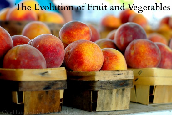 The Evolution of Fruit and Vegetables