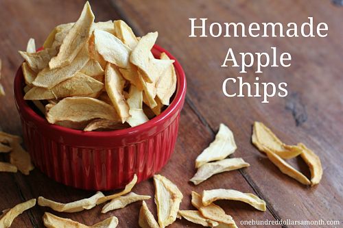 Free Kindle Books, Pet Food Coupons, Sewing Deals, Recipes, DIY Project and More