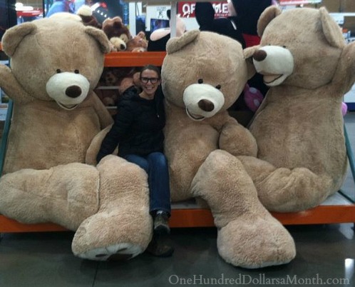 costco giant bear price