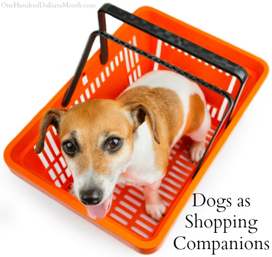 Dogs as Shopping Companions: Where Should We Draw the Line?