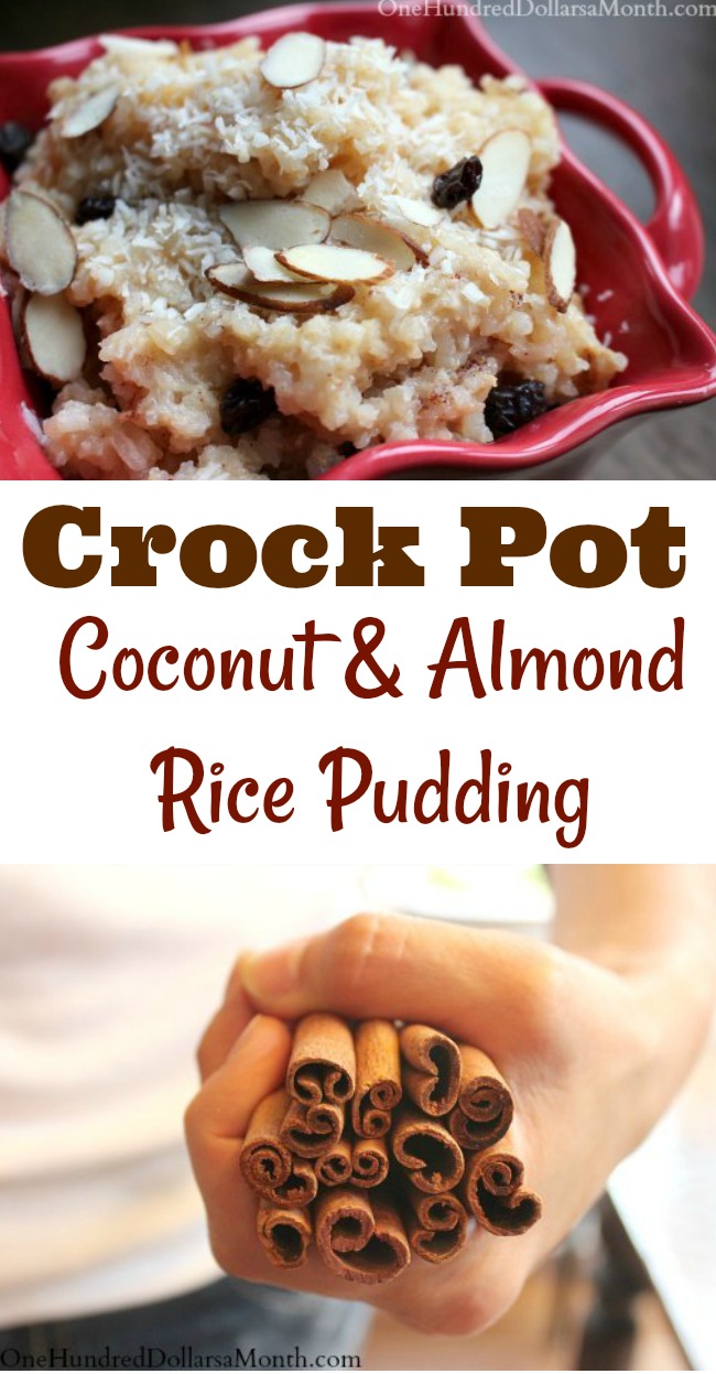 Slow Cooker Coconut & Almond Rice Pudding
