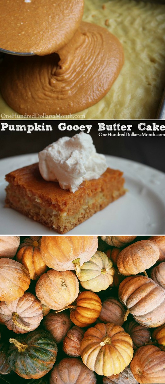 Pumpkin Gooey Butter Cake