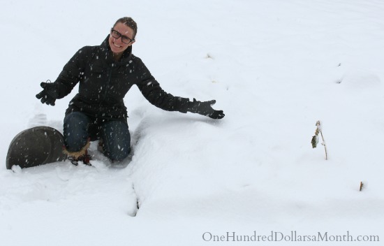 Harvesting Vegetables in the Snow