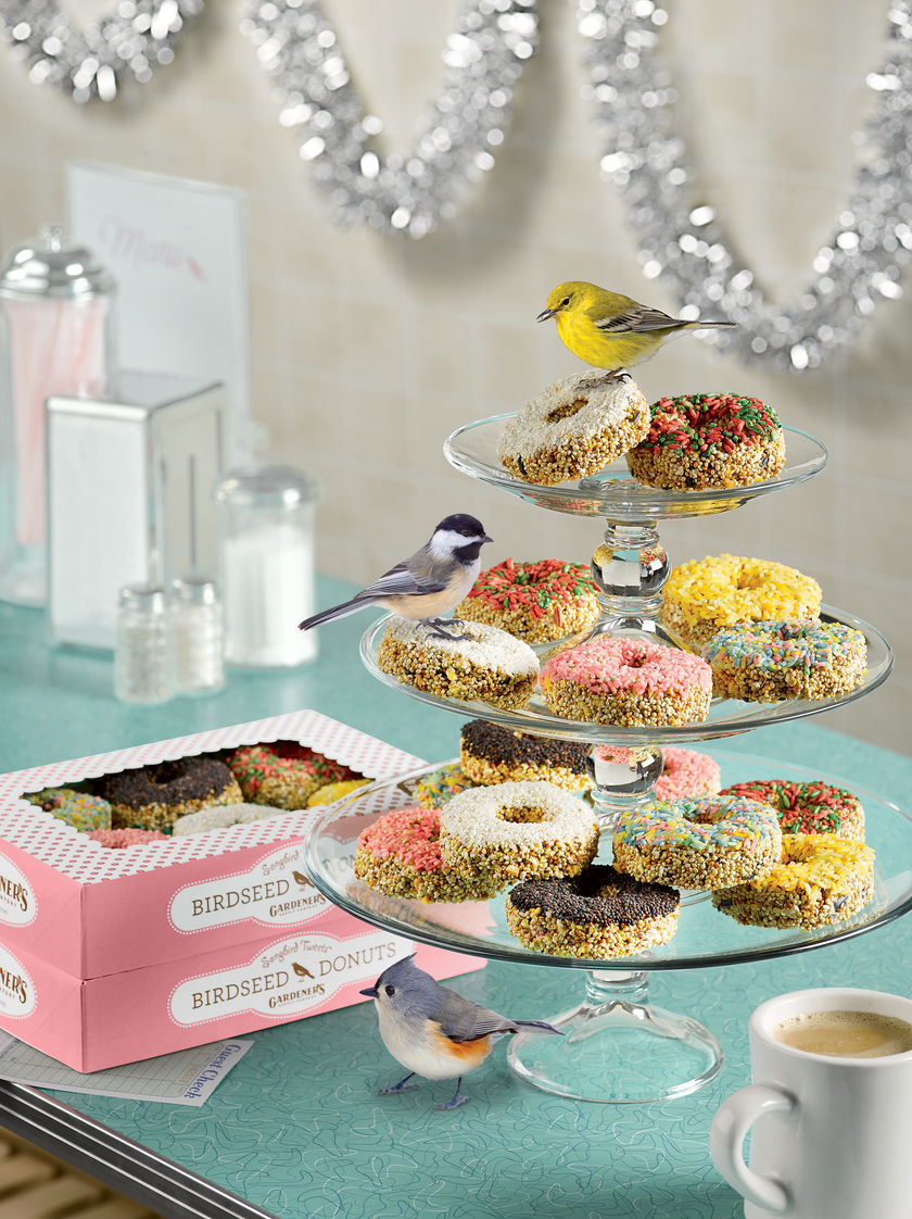 Giveaway Roundup: $50 Safeway Gift Card, T5 Grow Lights, Bird Seed Donuts, Christmas Ornament Contest