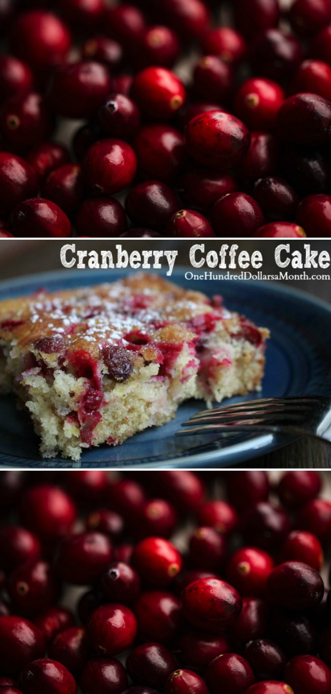 Cranberry Coffee Cake