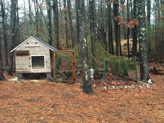 Heather’s Winter Chicken Coop Tour