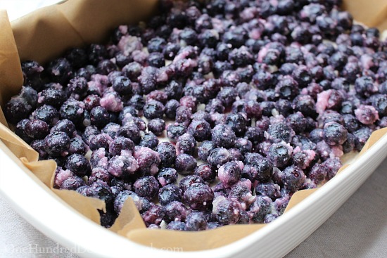 Blueberry Crumb Bars … Someone Please Hide These