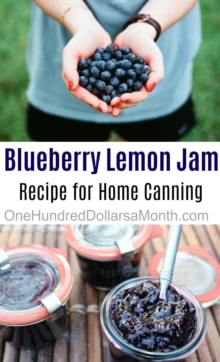 Blueberry Jam
