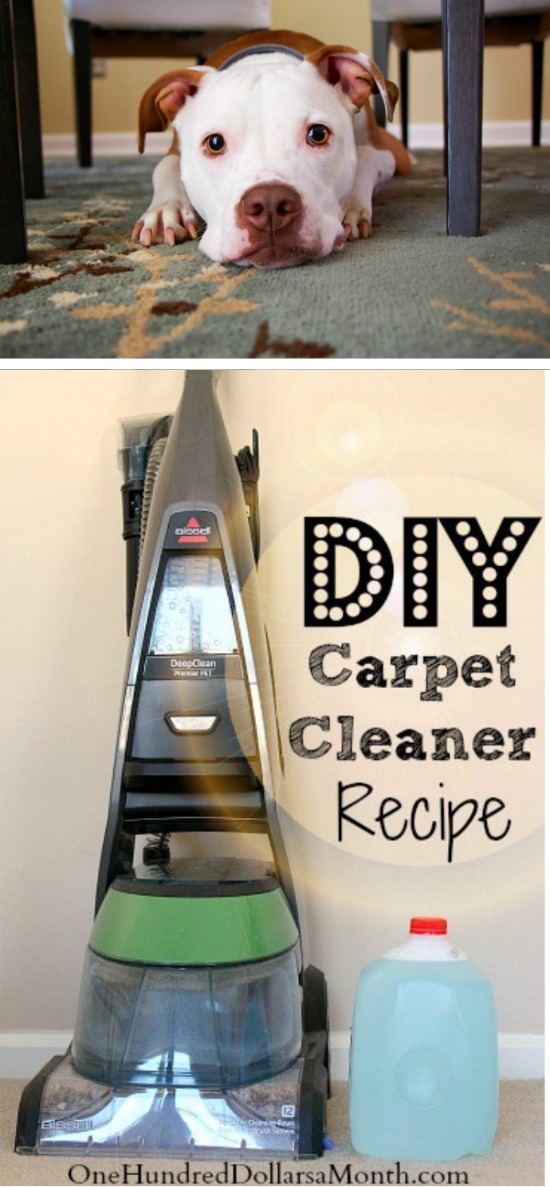Tips for Steam Cleaning Carpets + My Favorite DIY Carpet Cleaner Recipe