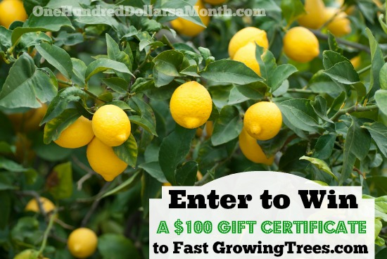 Giveaway: {2} $100 Gift Certificates to Fast Growing Trees!