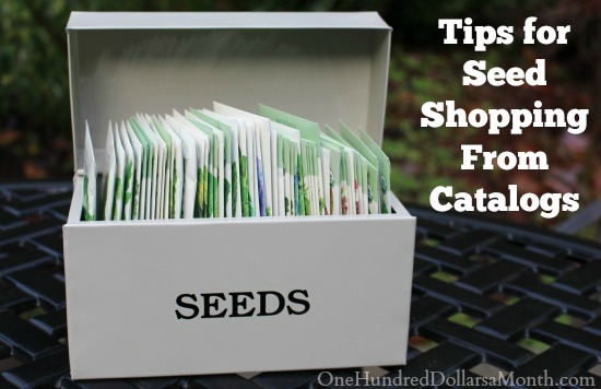 Tips for Seed Shopping From Catalogs