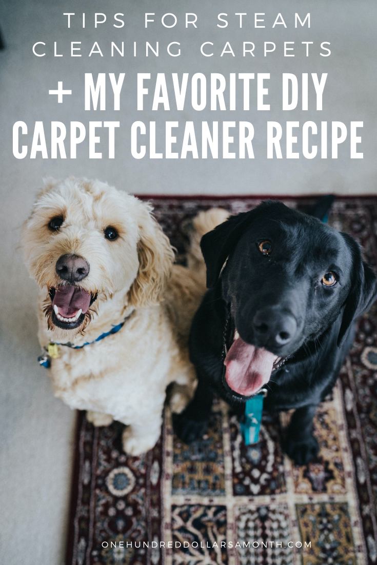Tips for Steam Cleaning Carpets + My Favorite DIY Carpet Cleaner Recipe