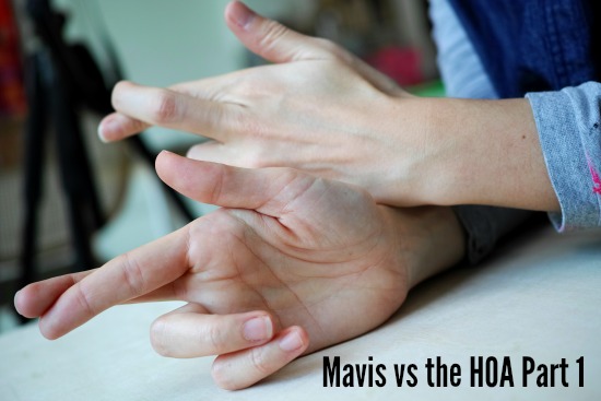 Mavis vs the HOA Part 1