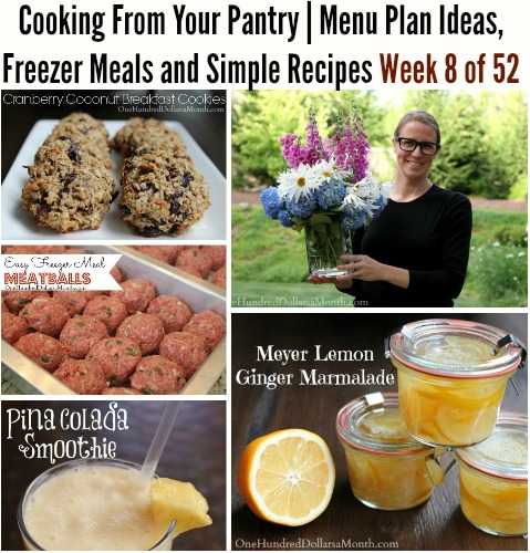 Cooking From Your Pantry | Menu Plan Ideas, Freezer Meals and Simple Recipes Week 8 of 52
