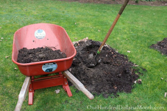 How to Grow Your Own Food: Start With Good Soil