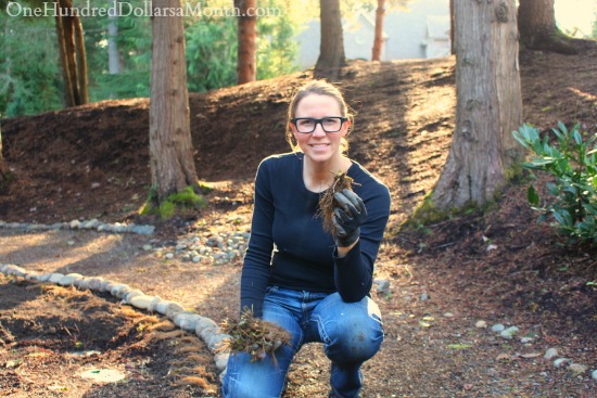 Mavis Butterfield | Backyard Garden Plot Pictures 2/15/15