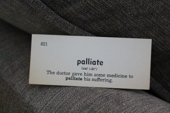 Rosetta Stone, DIY Body Scrub Recipe, Playtex Bra Sale, Ninja Prep $39.99, Bully Sticks and More!