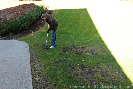 Mavis Butterfield | Backyard Garden Plot Pictures 2/22/15