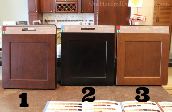 Master Bathroom Vanity Cabinets – Which Color Do You Prefer?